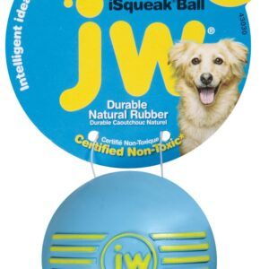 JW Pet iSqueak Ball Dog Toy Assorted Small