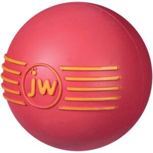 JW Pet iSqueak Ball Dog Toy Assorted Medium