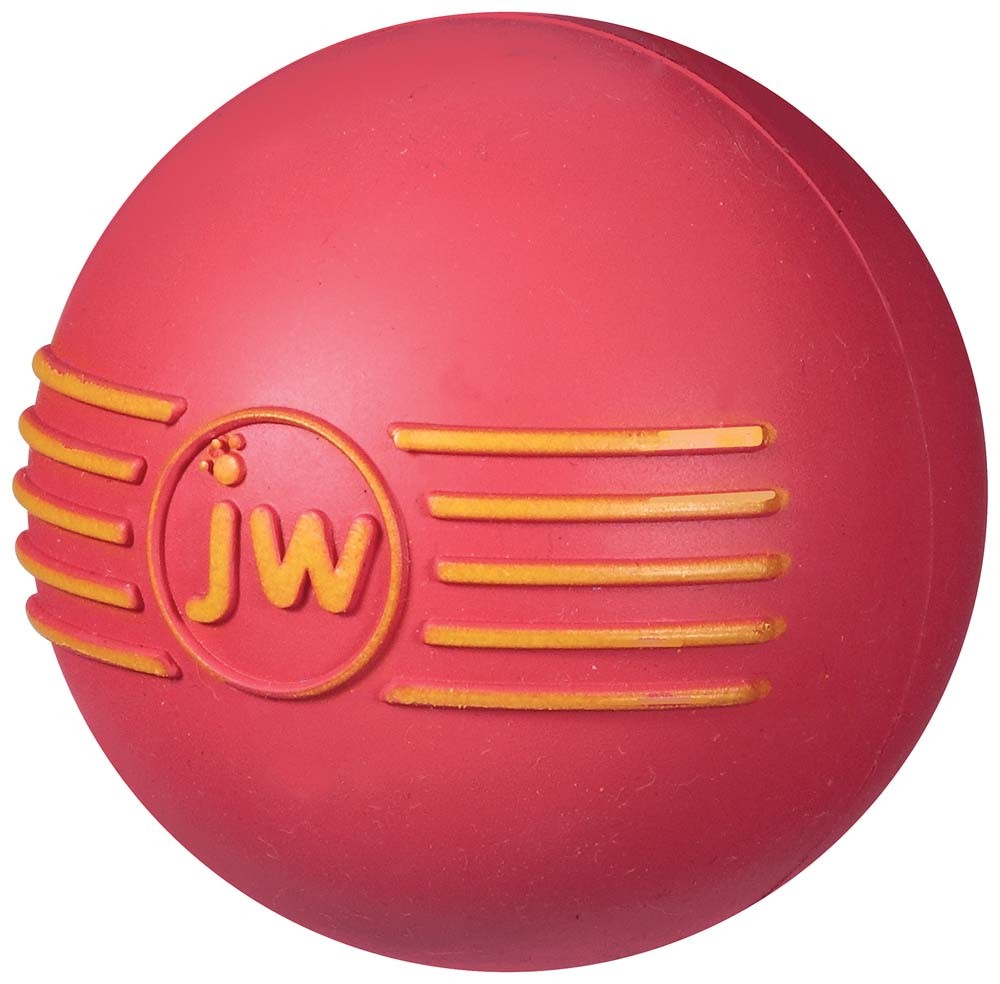 JW Pet ISqueak Ball Dog Toy Assorted Medium Ryans Pet World