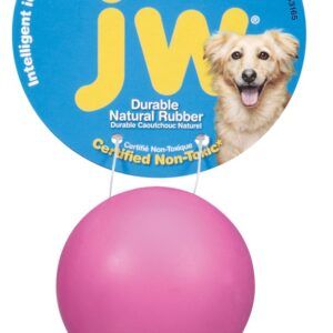 JW Pet Good Cuz Dog Toy Assorted Small