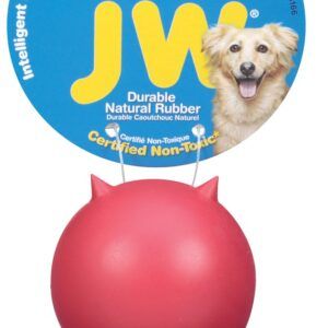 JW Pet Bad Cuz Dog Toy Assorted Small