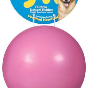JW Pet Good Cuz Dog Toy Assorted Large