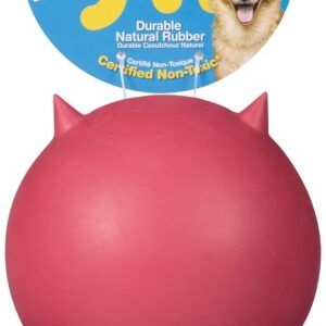 JW Pet Bad Cuz Dog Toy Assorted Large