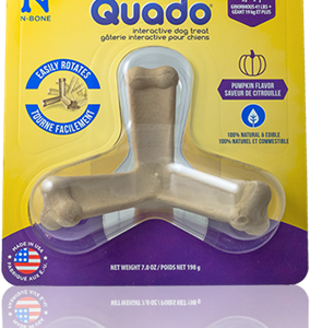 N-Bone Quado Pumpkin Flavor Average Joe Medium
