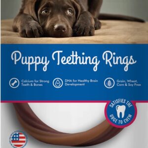 Nbone Dog Teeth Ring Grain Free Bbq Single