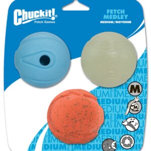 Chuckit! Fetch Medley Balls Dog Toy Assortment Fetch Medley 1 Multi-Color 3 Pack Medium
