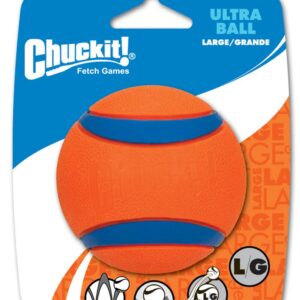 Chuckit! Ultra Ball Dog Toy Blue, Orange Large