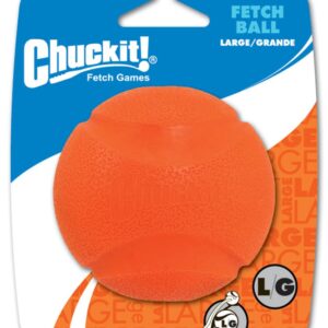 Chuckit! Fetch Ball Dog Toy Assorted Large