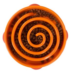 Outward Hound Fun Feeder Slo-Dog Bowl Orange Large