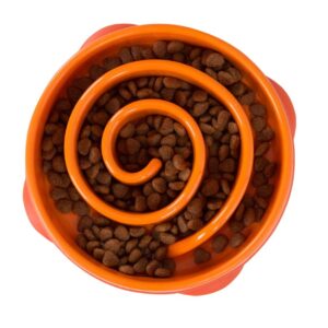 Outward Hound Fun Feeder Slo-Dog Bowl Orange Small