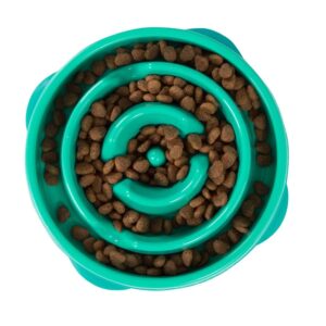 Outward Hound Fun Feeder Slo-Dog Bowl Turquoise Mini