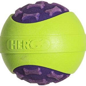 Hero Dog Outer Armor Ball Purple Large