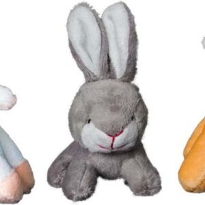Petsport USA Tiny Tots-Barn Buddies Dog Toy Assorted
