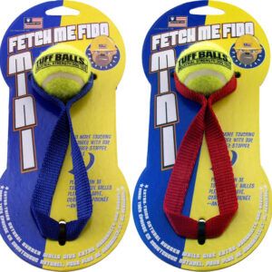 Petsport USA Fetch Me Fido Dog Toy Assorted Mini
