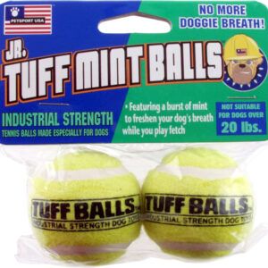 Petsport USA Jr. Mint Balls Dog toy Assorted 2 Pack 1.8 in