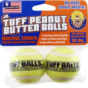 Petsport USA Jr. Peanut Butter Balls Dog toy Assorted 2 Pack 1.8 in