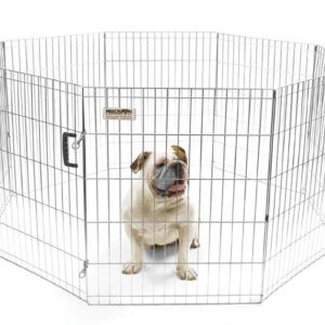 Precision Pet Products Exercise Pen Silver 30 in