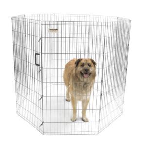 Precision Pet Products Exercise Pen Silver 48 in