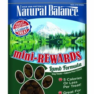 Natural Balance Pet Foods Mini Rewards Lamb Formula Semi-Moist Dog Treats 4 oz Mini