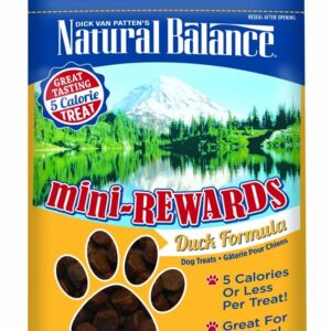 Natural Balance Pet Foods Mini Rewards Duck Formula Semi-Moist Dog Treats 4 oz Mini