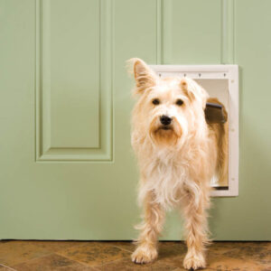 PetSafe Plastic Pet Door White Medium