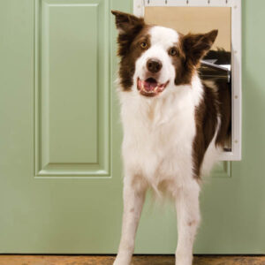 Petsafe Plastic Pet Door White Large