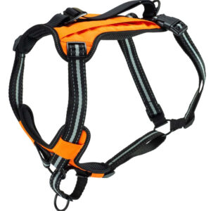 PetSafe Walk Along Outdoor Dog Harness Orange Large