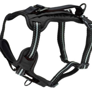 PetSafe Walk Along Outdoor Dog Harness Black Small