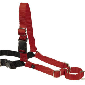 PetSafe Easy Walk Dog Harness Black, Red Medium