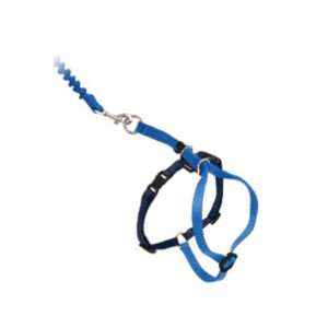 PetSafe Premier Come With Me Kitty Harness & Bungee Leash Combo Royal Blue, Navy Small
