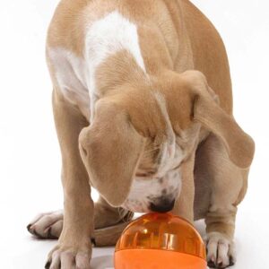 OurPets IQ Treat Ball Slow Feed Dog Toy Assorted Large 4 in