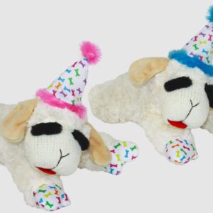 Multipet Lamb Chop? w/ Birthday Hat(Blue/Pink Assorted) 10.5 inch