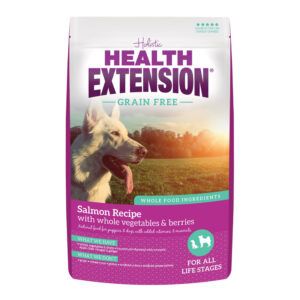 Health Extension Grain Free ~ Salmon  10lb