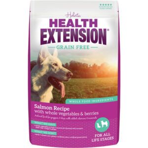 Health Extension Grain Free ~ Salmon  1lb