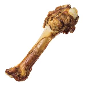 Redbarn Pet Products Shank Bone Dog Chew 8.4 oz Large