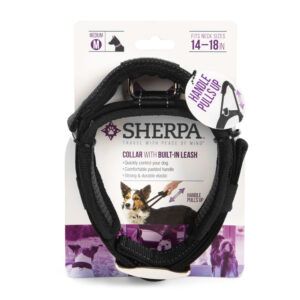 Sherpa's Pet Trading Company Dog Collar with Built in Leash Black Medium