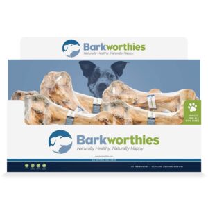 Barkworthies Femur Bone