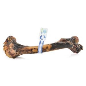 Barkworthies Venison Femur (Small Bone Box) Sold As Whole Case Of 10