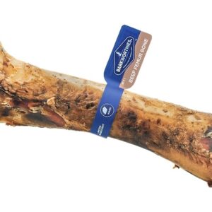 Barkworthies Wild Boar Femur (Small Bone Box) Sold As Whole Case Of 10