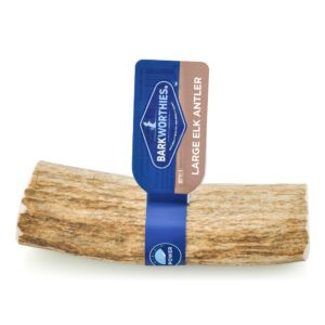 Barkworthies Elk Antler large Whole