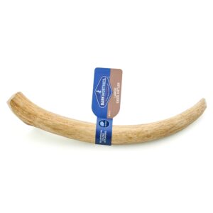 Barkworthies Dog Deer Antler Whole Lg