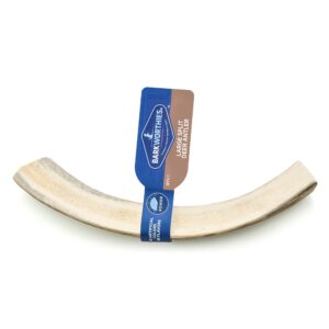 Barkworthies Dog Deer Antler Splt Lg