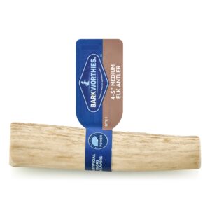 Barkworthies Elk Antler - Medium Whole