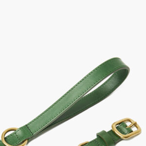 The Worthy Dog Avacado Green Large