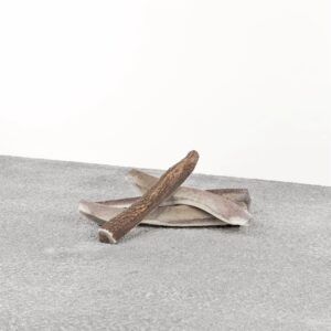 PRIMAL DOG STAG ANTLER LARGE