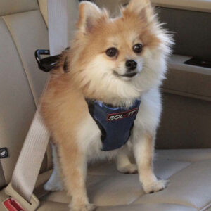 Solvit Products Deluxe Vehicle Safety Dog Harness Black, Blue Small