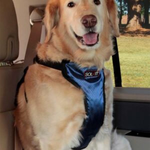 Petsafe Happy Ride Safety Dog Harness Black, Blue X-Large