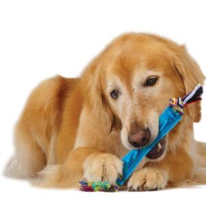 Petstages ORKA Stick Dog Toy One Size