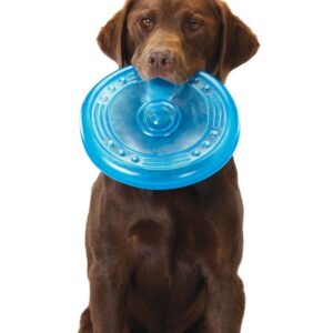 Petstages ORKA Flyer Dog Toy One Size