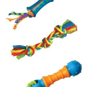 Petstages Dental Dog Chew Pack Assorted Small